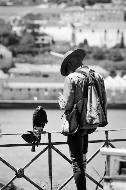 Licenciatura em Letras (Habilitação Português/Inglês)