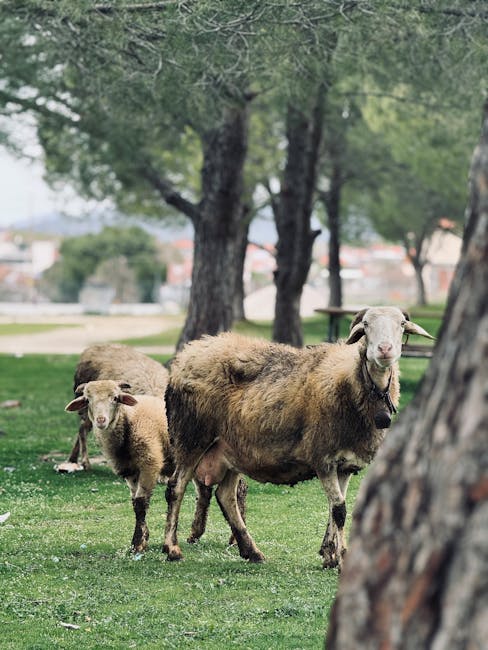 Introdução à Agroecologia E à Produção Orgânica